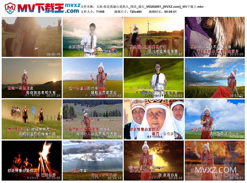 文欣-你是我最心爱的人_国语_流行_MD202551